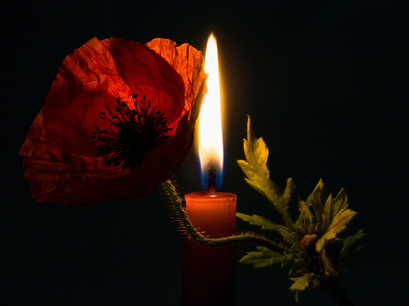 Candle, fire - natural phenomenon, nature, heat - temperature, flame, Flower, spirituality, indoors, Poppy, luminosity, lichtspiel, dark, glowing, no people