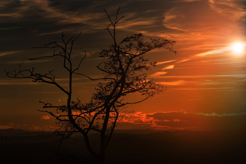 weird, nature, tranquil scene, branch, mood, cloud - sky, atmospheric, outdoors, contrast, hour, desktop background, red, sunset, colorful, non-urban scene