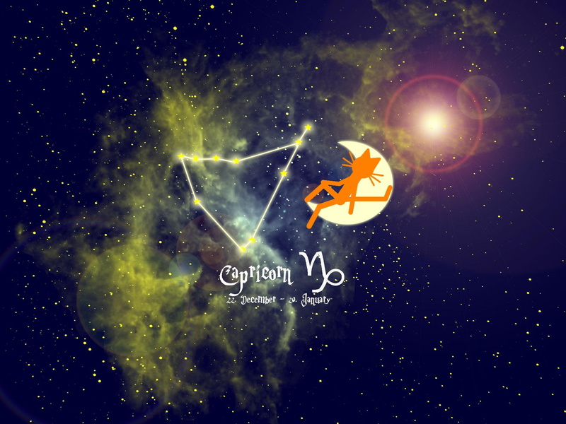 kittycat, animals, sign, for windows, cats, capricorn, zodiac, pets, 1080P, zodiac sign, cat