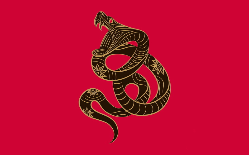 abstract, tattoo, craft, shape, colored background, decoration, symbol, art and craft, black, asia, snake, copy space, pattern, indoors, yellow, 1080P