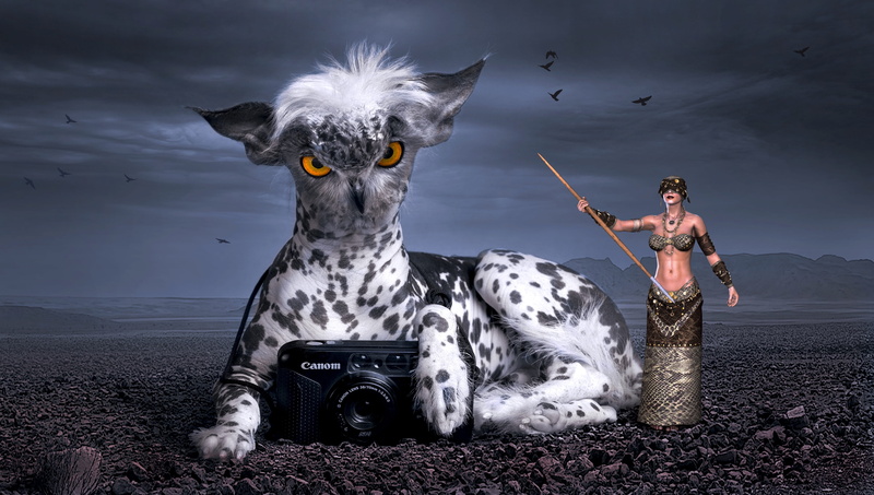 camera, stones, fantasy image, standing, fantasy, peaceful, illustration, outdoors, composing, domestic animals, mysticism, nature, 4K, mammal, portrait