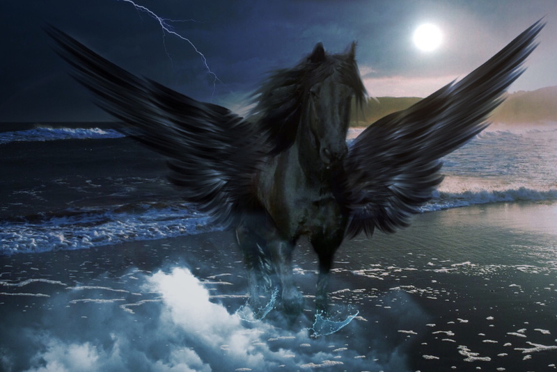 motion, atmospheric, fantasy, feather, illustration, wing, ocean, mammal, gray, mirroring, spread wings, colourless, rocky coast, atmosphere, white, mystical