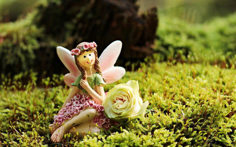 wing, mythical creatures, flowering plant, nature spirit, friendly, springtime, fantasy, plant, albe, flower, one person, field, fairy tales, charming