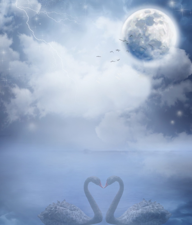  digital composite, animal themes, heart, composing, full, flying, guestbook, galaxy, template, bird, no people, dream, positive emotion, fell in love with swans