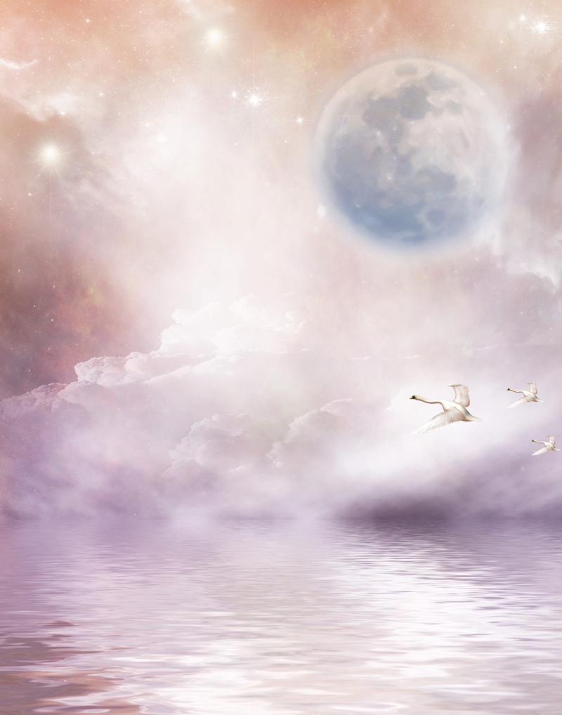beauty in nature, guestbook, background image, sky, bird, surreal, postcard, stationery, flying, outdoors, fantasy picture, dreams, fairytale, dream, swans
