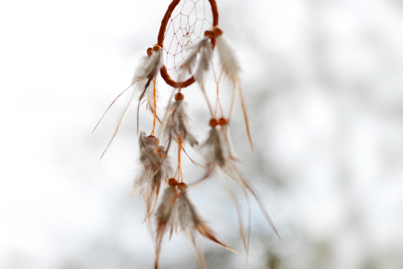 dreams, dream, spiritual, culture, dreamcatcher, crop, nature, growth, focus on foreground, brown, softness, spring jewelry, agriculture, indian, fragility