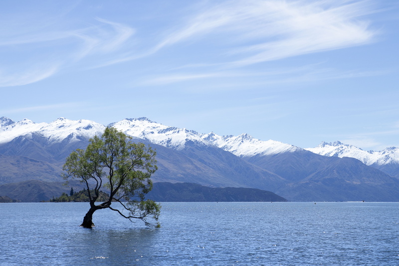 blue, winter, nature, lake, tranquil scene, cold temperature, new zealand, clouds, snow, mountain range, that wanaka tree (#thatwanakatree), wanaka, beauty in nature