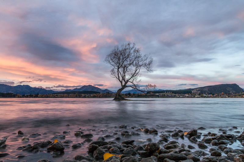 outdoors, tree, water, mountain, surrounded, scenics, lake, body of water, body, 1080P, nature, sunset, photographed, Wanaka  New Zealand, withered, landscape