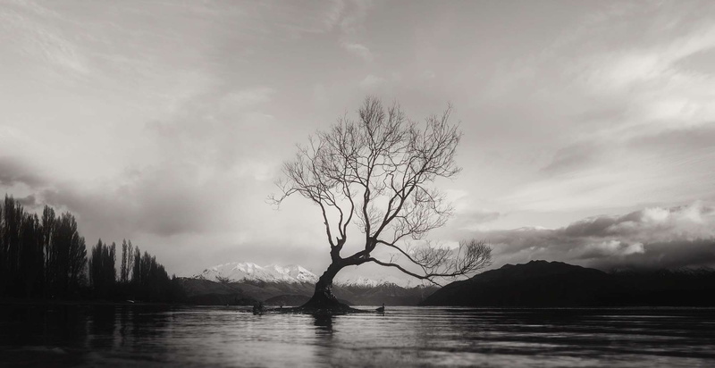 no people, scenics - nature, tranquility, mountain, clouds, environment, plant, lake, waterfront, water, black and white, tranquil scene, panorama, new zealand