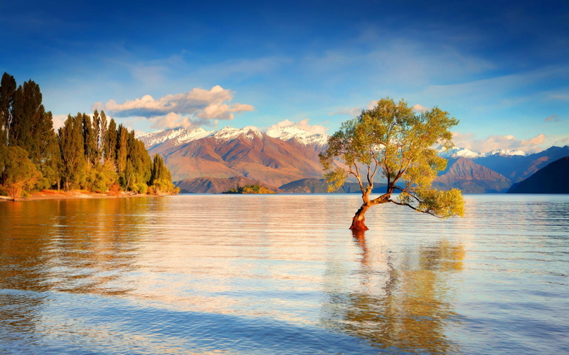 lake, zealand, 720P, wanaka