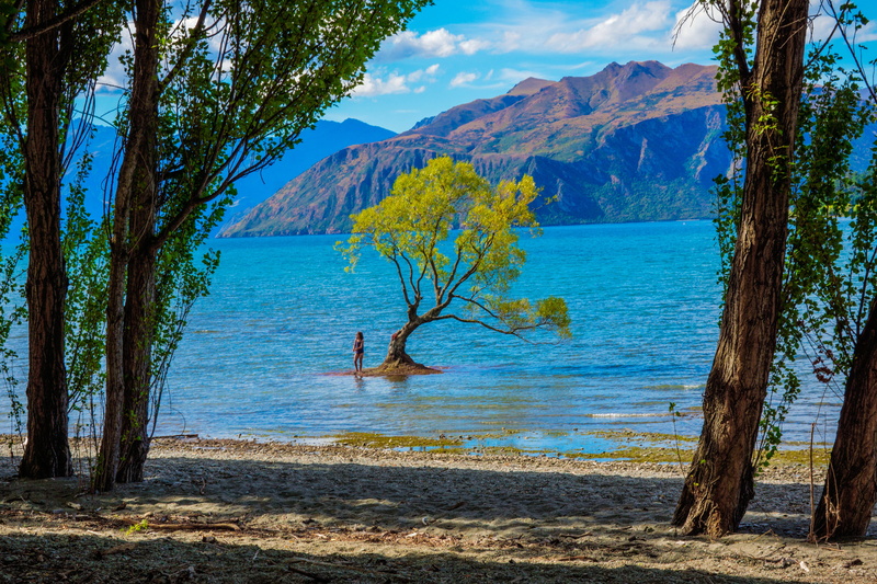 landscape, tranquil scene, surrounded, 5K, water, wilderness, wild, outdoor, land, tranquility, tranquil, new zealand, body of water, scenics, outdoors