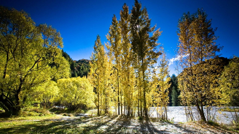 1080P, zeal, 3d and abstract, sunrise, new zealand, new, arrowtown, sun light, autumn, trees, green, sunset, blue