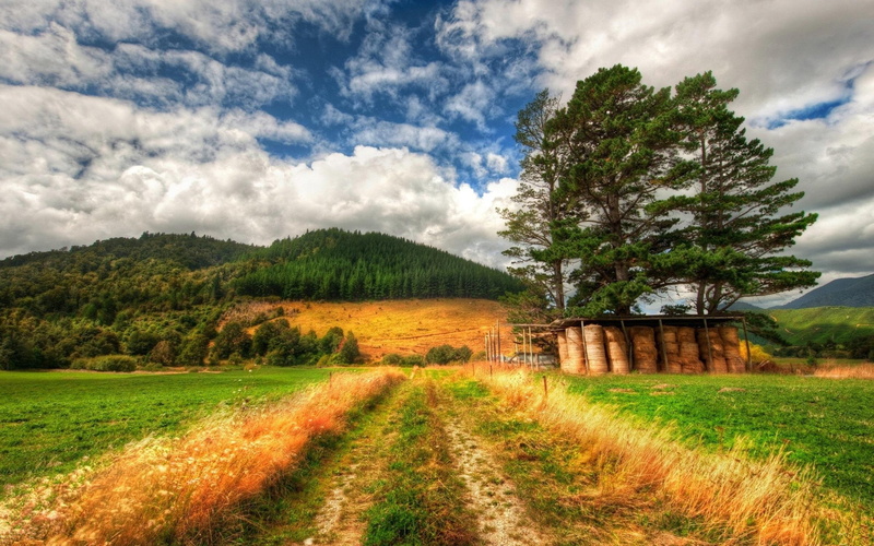 road, new, view, trees, clouds, beautiful, nature, grass, new zealand, zeal, lscape, nature and lan, 2K, hills, landscape, mountain, across