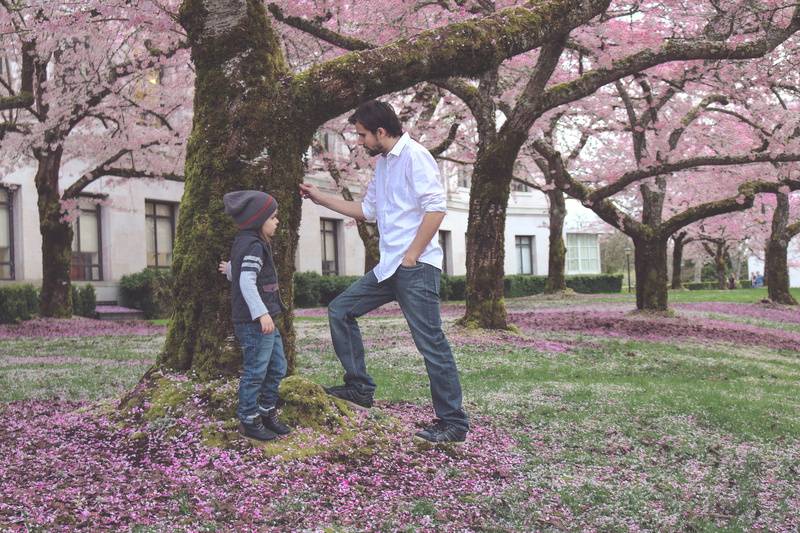boy, father and son, flowering plant, 5K, young men, family, blossom, real people, men, jacket, outdoors, fun, full length, white, tree, flower, dad, bloom