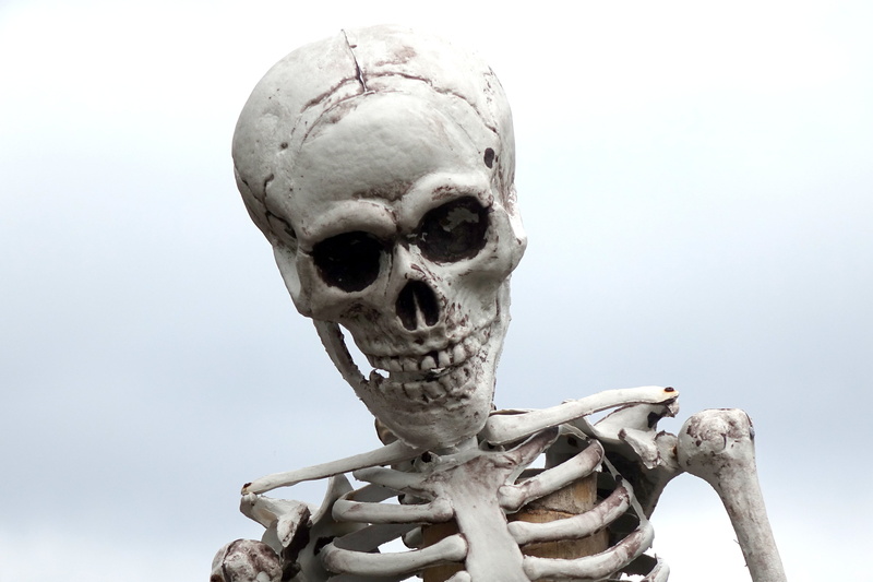 skull, spooky, anatomy, death, body part, pirates, head, skull and crossbones, evil, human skeleton, human, bone, halloween, pirate, human representation