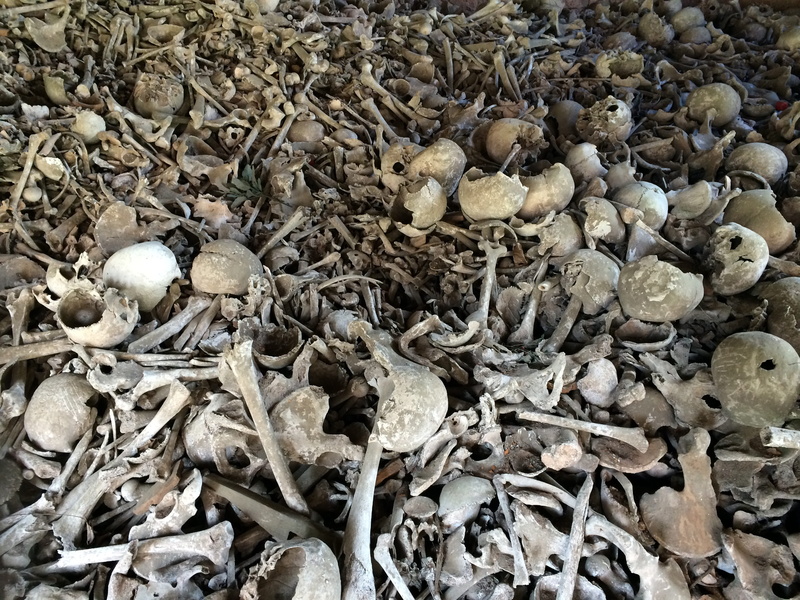 still life, skull, gray, high angle view, 2K, nature, lot, field, land, skull bone, france, beach, abundance, death, messy, close-up, no people, bones