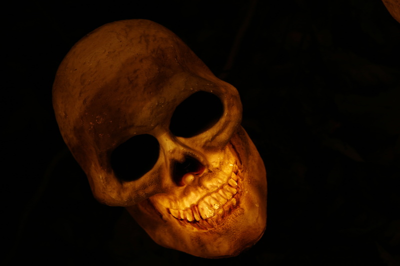human skeleton, spooky, studio shot, body part, human body part, horror, table, single object, skull, indoors, evil, skeleton, skull and crossbones, diabolical