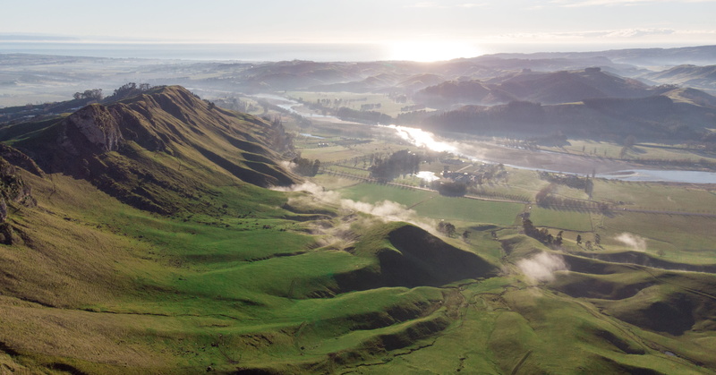 idyllic, 4K, trees, new zealand, forest, green color, nature, no people, rolling landscape, high angle view, beauty in nature, newzealand, sky, lake, scenics - nature