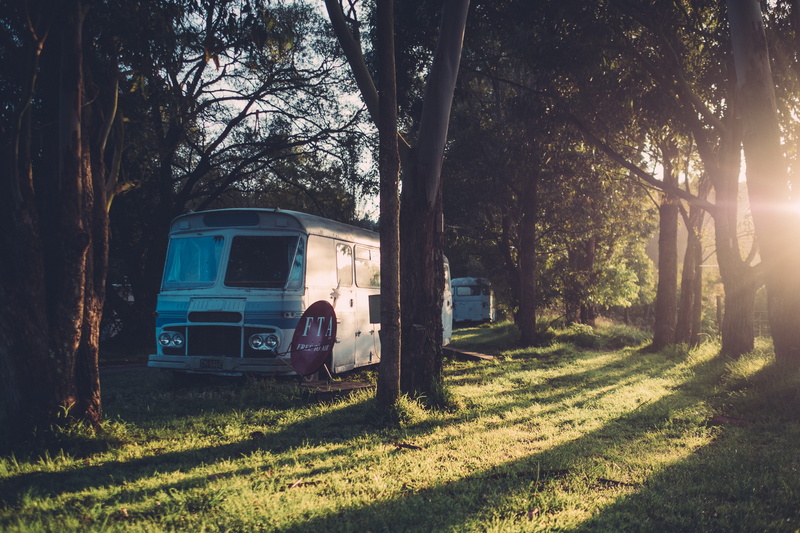 5K, tree, no people, shadow, camping, sky, growth, nature, transportation, trunk, sunrise, land, field, newzealand, mode of transportation, forest, land vehicle