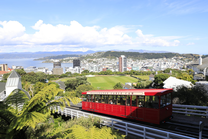cloud - sky, architecture, tree, wellington, cablecar, 5K, transportation, city, public transportation, sky, train, no people, nature, garden, landscape