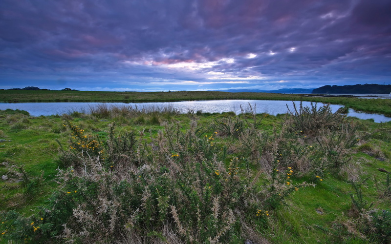 sky, aucklandnewzealand, non-urban scene, day, plant, 2K, environment, beauty, water, newzealand, landscape, tranquility, cloud - sky, no people, scenics - nature