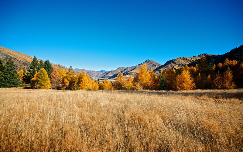 nikond7000, copy space, tranquil scene, nikon, environment, 2K, blue, land, skippers, mountain range, landscape, autumn, tranquility, grass, sigma10‑20mmf4‑5.6exdchsm