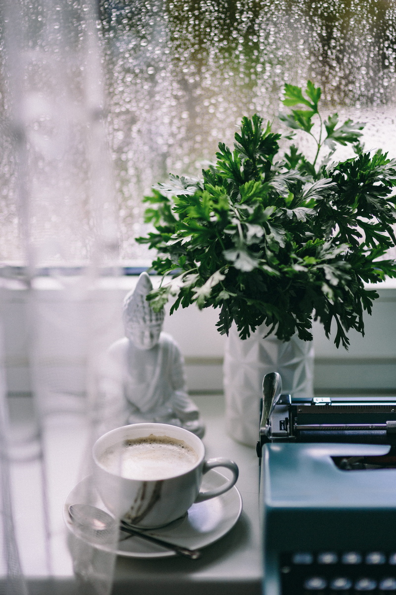 mug, freshness, crockery, flowering plant, computer, rain, typewriting, food and drink, typing, cup, working, plant, nature, refreshment, workspace, flower arrangement