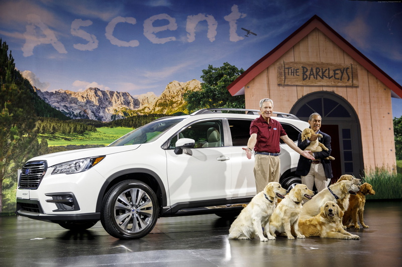 4K, domestic, building exterior, nature, mode of transportation, Subaru Ascent, 4K, 2018 Cars, outdoors, mammal, dog, day, domestic animals, architecture