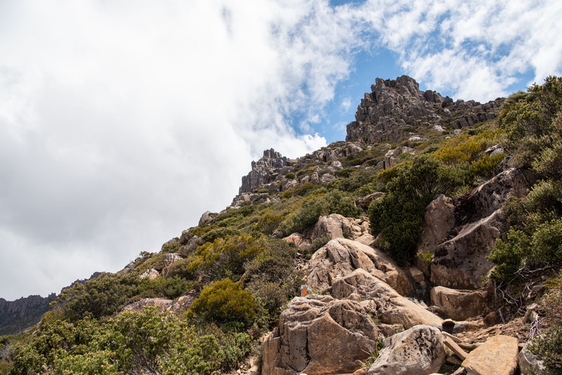 low angle view, scenic, tree, australia, rock, wilderness, tasmania, rock formation, cloud - sky, climb, scenics - nature, bush, outdoors, scenery, tranquility