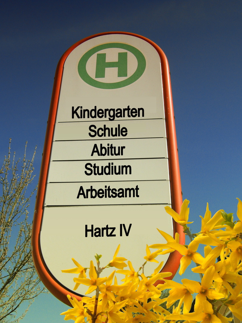 street, no people, close-up, guidance, plant part, sign, information, unemployment, school, employment office, orange, sky, stop, Bus Stop, white, western script