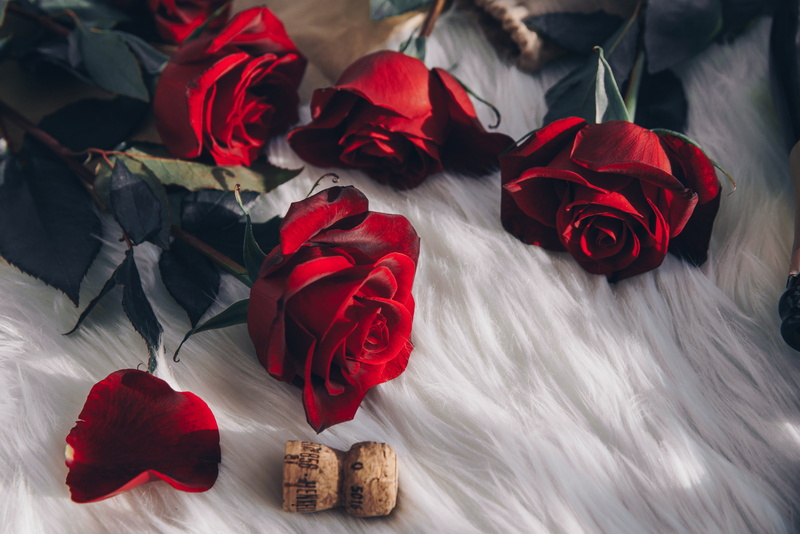nature, Valentines Day, roses, textile, close-up, inflorescence, champagne, Love, petal, 4K, rose - flower, flowering plant, no people, red, plant, flower head