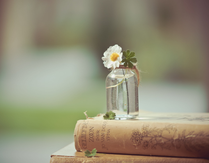 flower arrangement, selective focus, 5K, plant, book, still life, vulnerability, freshness, day, romantic, flowers, food and drink, focus on foreground