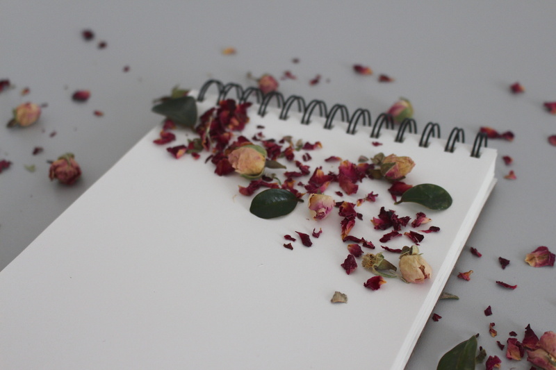 memo, write down, wellbeing, diary, freshness, communication, close-up, isolated, flower, lesson, message, flowers, still life, paper, food and drink, plant