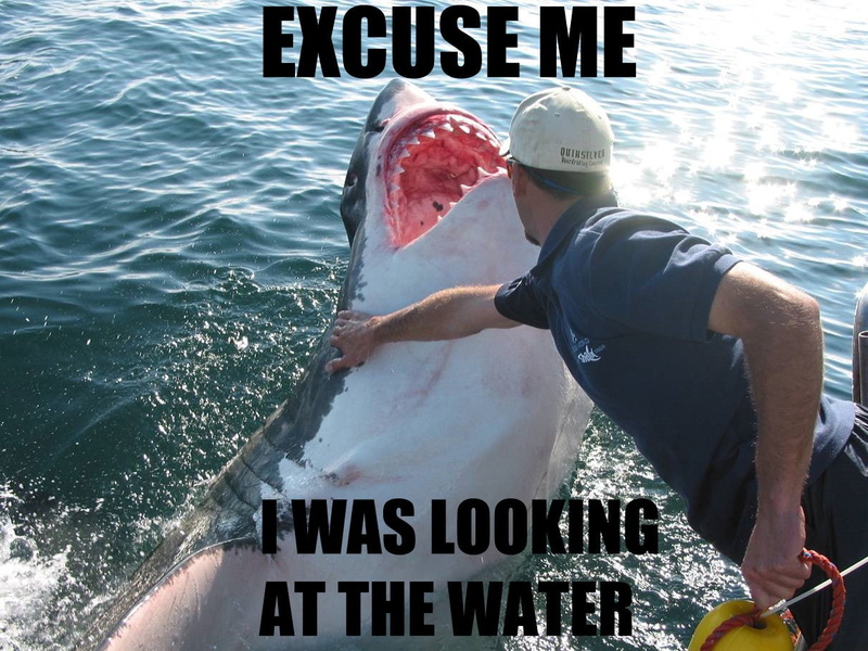 funny, art, water, 480P, text, x, entertainment, sharks, hd