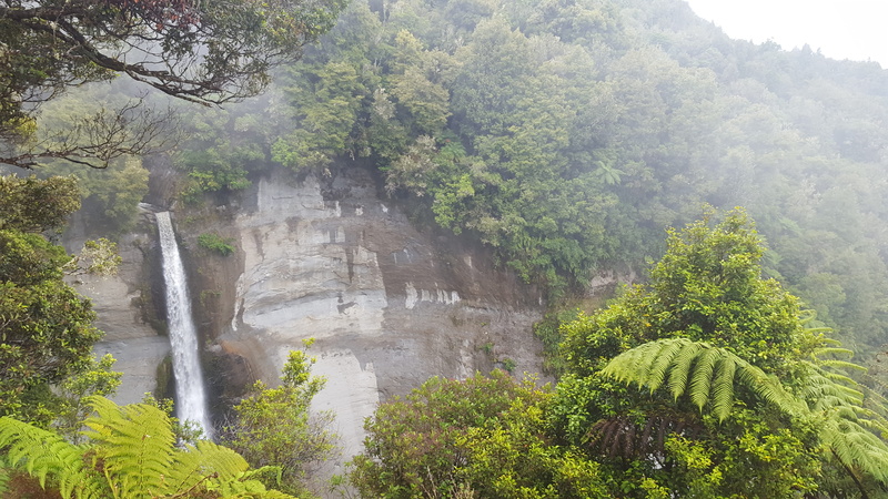 outdoors, waterfall, 5K, land, scenics - nature, cliff, tranquility, nature, formation, growth, foliage, green color, forest, beauty in nature, day, mount damper falls