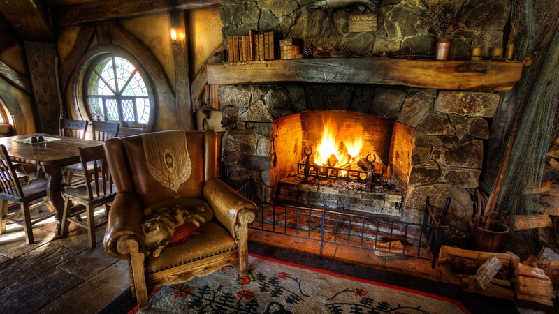 cat, 1080P, HDR, indoors, fireplace, fire