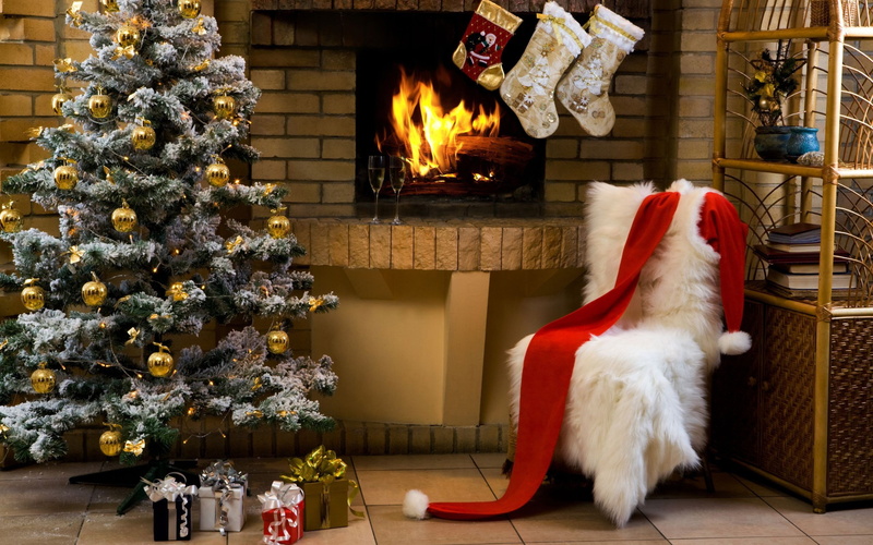 fireplace, no people, christmas ornament, tree, animal, mammal, celebration, indoors, 2K, Christmas, Christmas ornaments, New Year, one animal, holiday