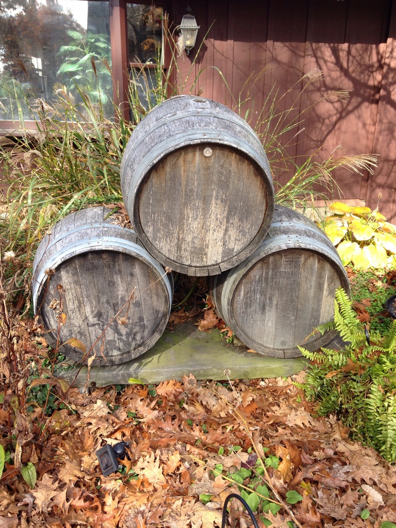 cellar, vat, industry, rustic, outdoors, stacked, liquid, day, wood, field, alcoholic, distillery, tree, booze, rum, froth, abandoned, vintage, plant, storage