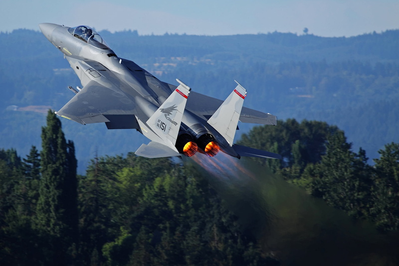 nature, air vehicle, outdoors, growth, no people, 1080P, heat signature, McDonnell Douglas F-15 Eagle, nozzle, plane, military, day, airplane, transportation