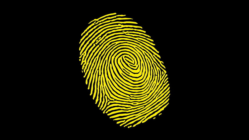 1080P, Fingerprints
