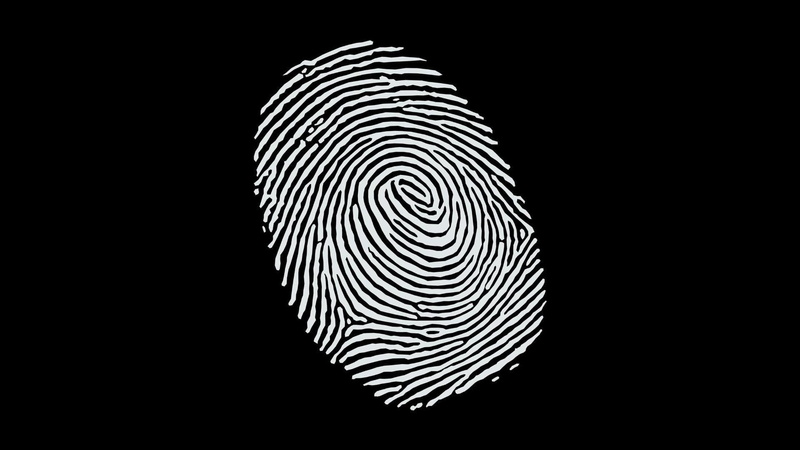 other, may, technology, 1080P, fingerprint, thumb, entertainment, identify, people, mark, need