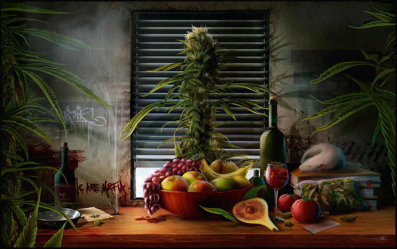 blinds, vegetable, freshness, books, wine, apples, plate, day, Bush, still life, red, window, organic, food, indoors, grass, still, wellbeing, kush, nature