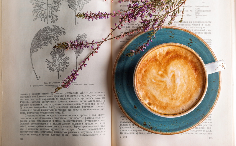old, directly above, no people, crockery, paper, refreshment, still life, coffee cup, Read, Vintage, hot drink, saucer, Cafe, Plant, Espresso, beverage