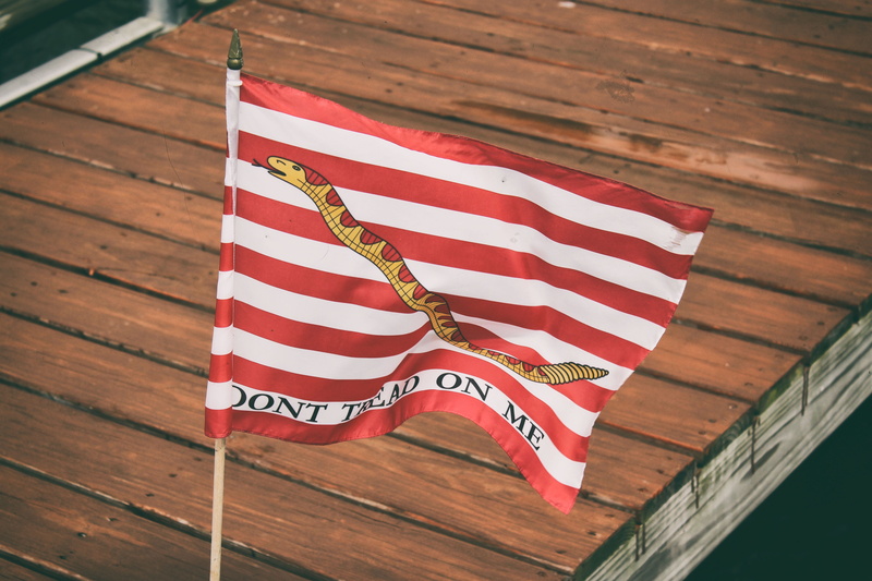 emotion, no people, wood - material, red, snake, shape, wood, pride, high angle view, symbolism, star shape, united states, lake, striped, national icon