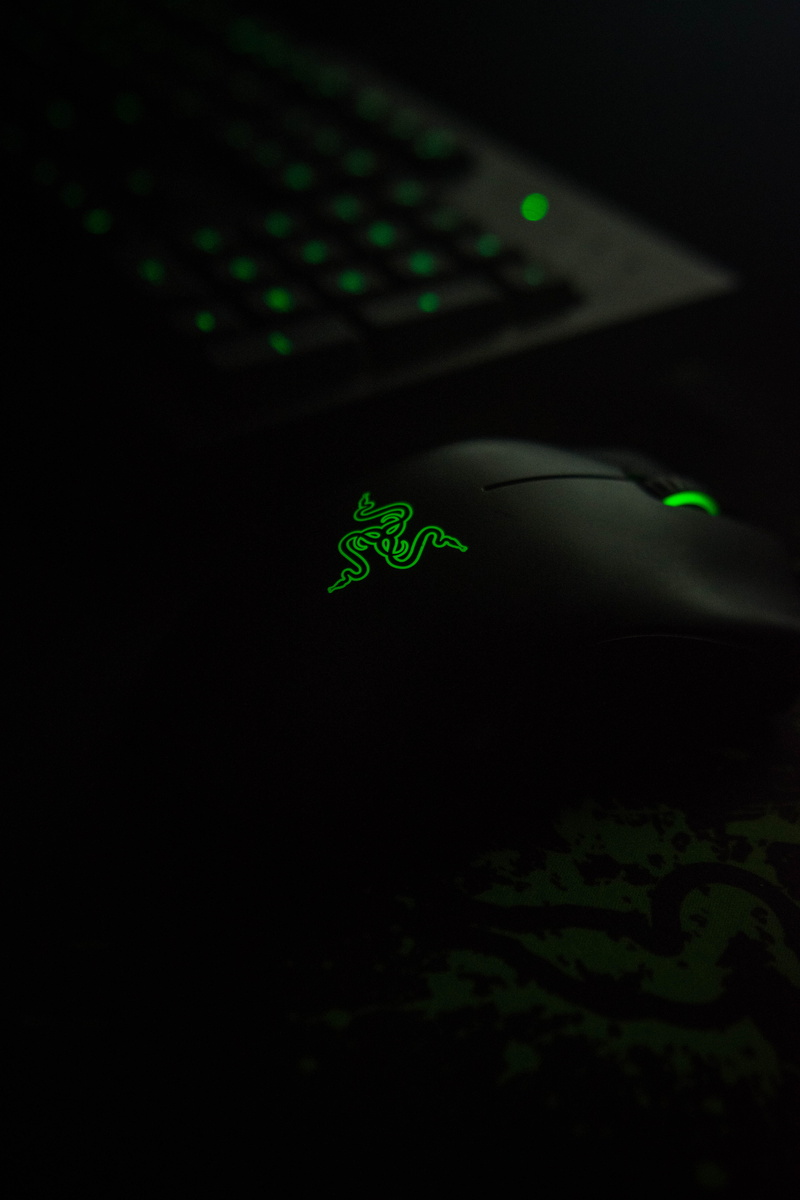 plant, plant part, studio shot, dark, mouse, animal themes, night, close-up, leaf, illuminated, beauty in nature, animal, keyboard, razer, no people, selective focus