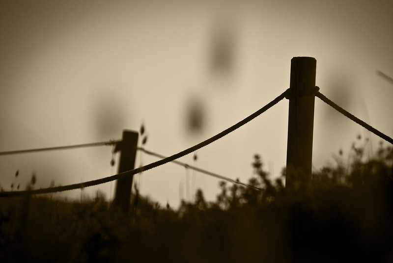 protection, photography, silhouette, wire, wood, sky, cords, sepia, safety, 1080P, rope, grass, blurred, no people, boundary, day, security, plants, barrier