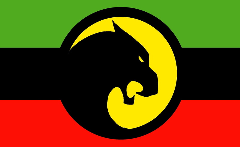 Flag of Wakanda, 1080P, Misc