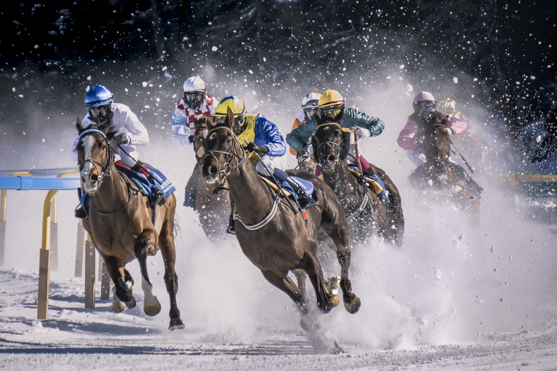 sport, extreme, season, animal, rider, fun, activity, effort, sports Track, outdoors, horse, recreational Pursuit, winter, men, people, snow, flat race