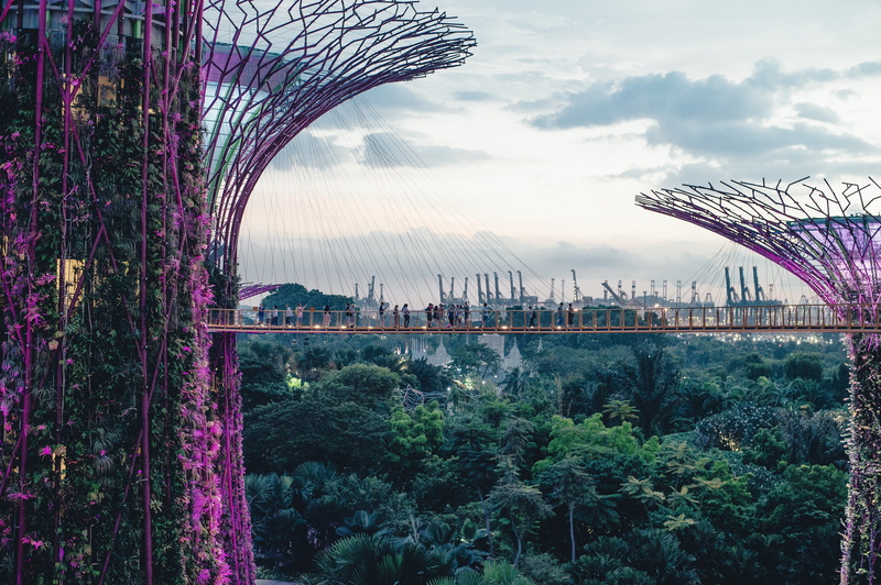 bridge, violet, river, sky, travel destinations, tower, green, trees, plant, men, women, tourism, arch bridge, growth, engineering, garden, 4K, building exterior