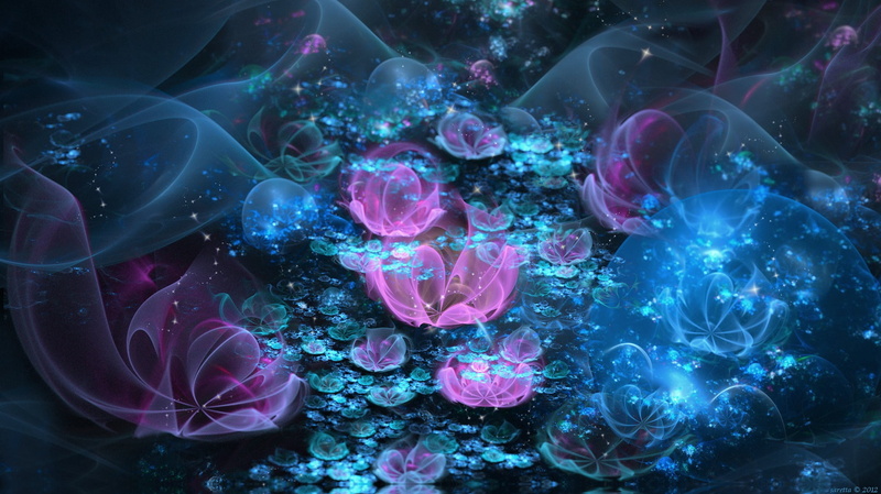 water, nature, marine, large group of animals, sea, no people, indoors, 1080P, flower, bouquet, pink, multi colored, high angle view, group of animals